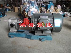 不銹鋼泵-不銹鋼齒輪泵-不銹鋼高壓泵 